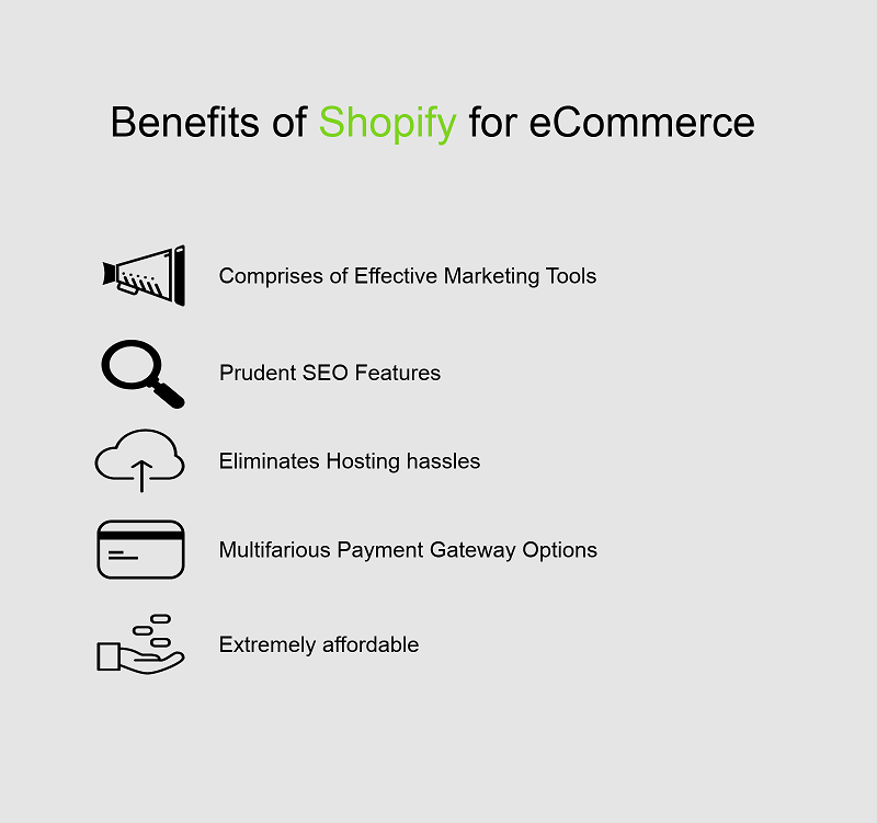  review the different Shopify theme design options